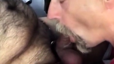 Truck Stop Cock Sucking with a Daddy Bear