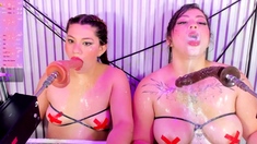 Fetish lesbians toy ass and pussy with plug and vibrator