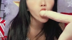 Japanese teen uses toys to pleasure pussy