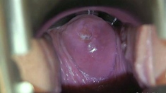 Tarya King video