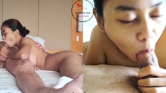 Asian Uncensored Blowjob Handjob