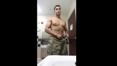 Soldado gato tesudo