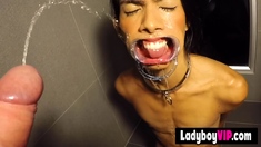 Piss And Blowjob Session With A Ladyboy