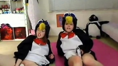 Teen penguins on cam