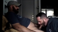 Hairy Big Daddy Bear Suck Dick