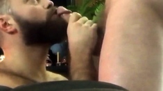 Bearded guy suck and swallow